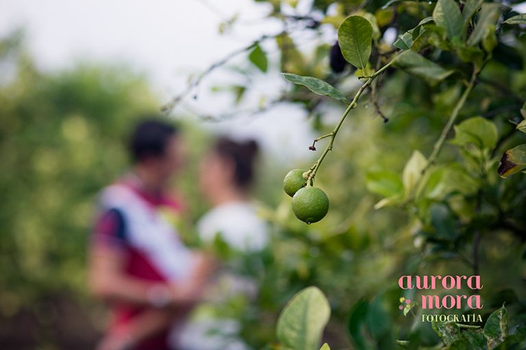 fotografo de bodas en alicante, fotografo alicante, fotografo de boda en murcia, fotografo murcia, fotografo boda murcia, fotografo boda alicante