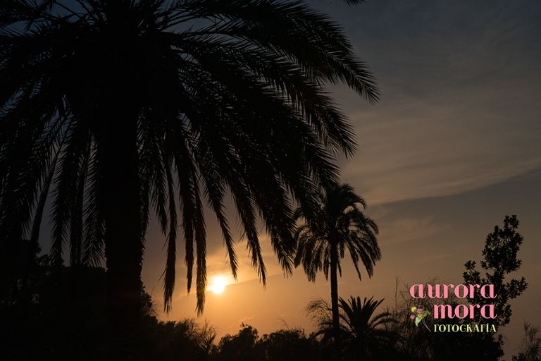 fotografo de bodas en alicante, fotografo alicante, fotografo de boda en murcia, fotografo murcia, fotografo boda murcia, fotografo boda alicante