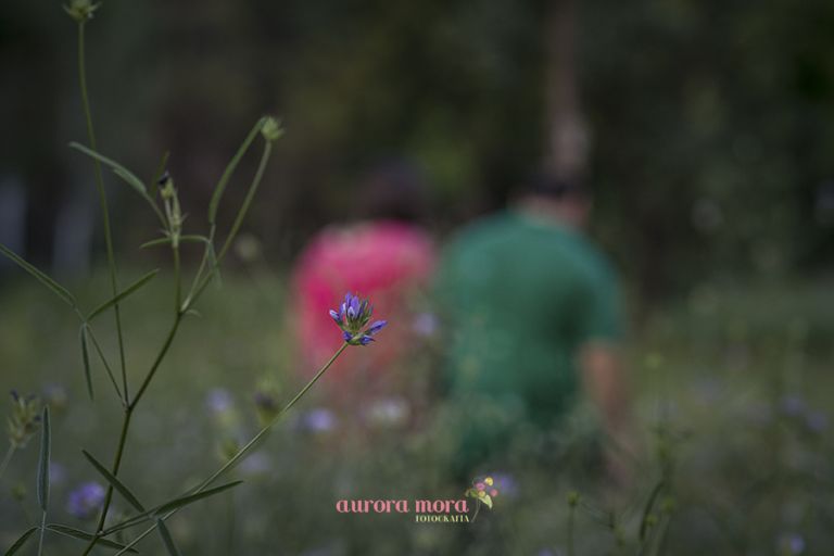 fotografo de boda en pilar de la horadada, fotografo de boda en murcia, fotografo de boda en alicante, fotografo en pilar de la horadada, fotografo murcia