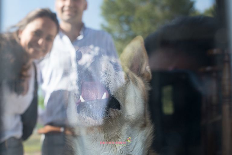 fotografo murcia, aurora mora, fotografos de boda en murcia, fotografo de bodas, fotografo de boda en Jumilla60