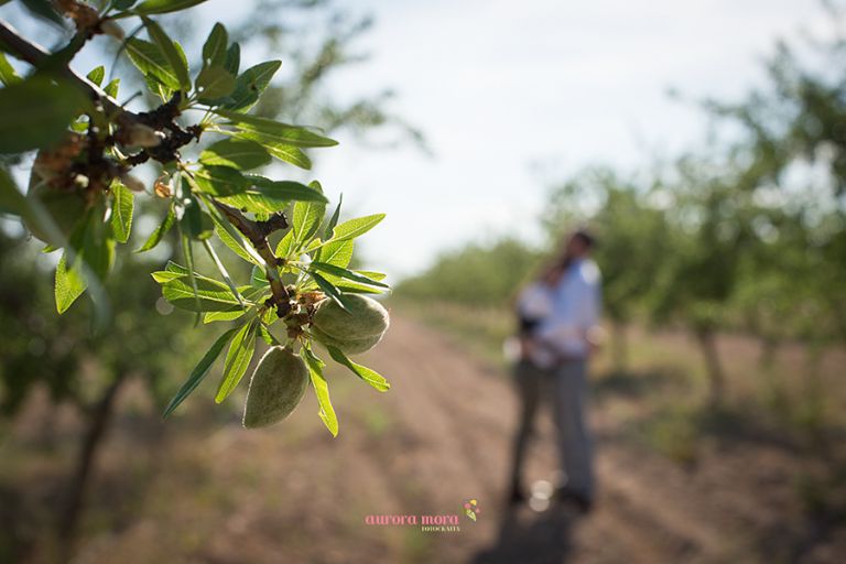 fotografo murcia, aurora mora, fotografos de boda en murcia, fotografo de bodas, fotografo de boda en Jumilla66