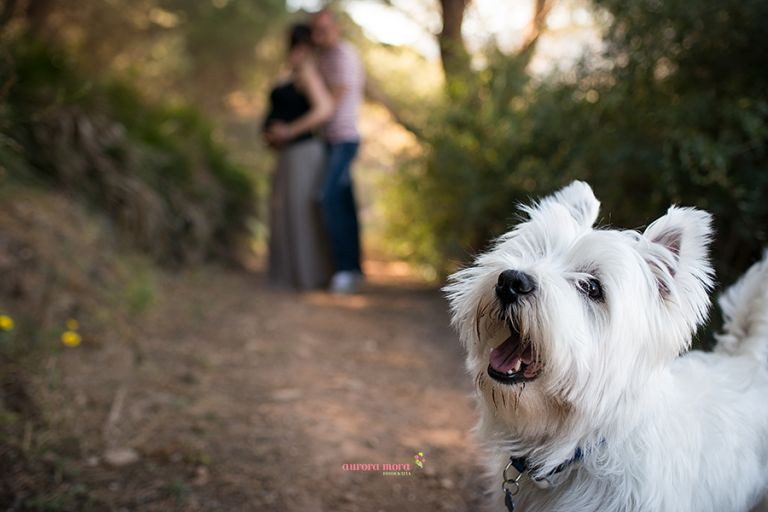 fotografo en murcia, fotografo de embarazo en murcia, embarazadas murcia, fotos embarazo en murcia, aurora mora fotografia